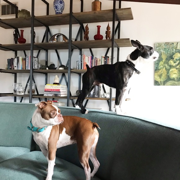 Meet your Posher, Iris - Picture 6 of 9